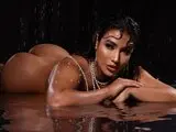 Candice livesex